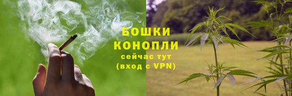 PSILOCYBIN Верея